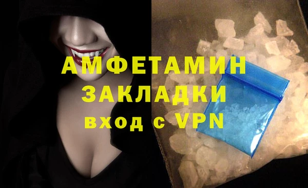 прущие грибы Ладушкин