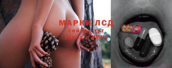 прущие грибы Ладушкин