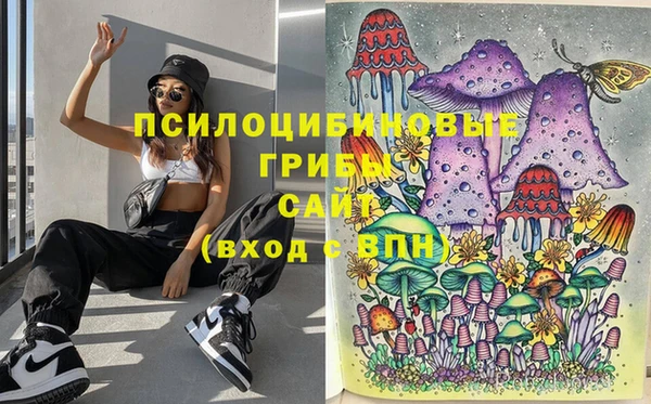 экстази Лагань
