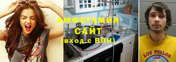 прущие грибы Ладушкин