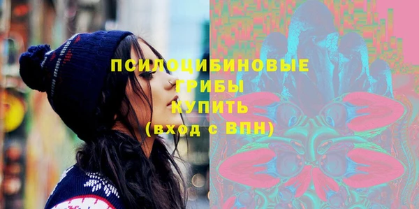 прущие грибы Ладушкин
