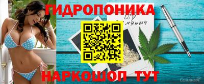 дживик Заводоуковск