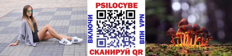 это клад  omg рабочий сайт  Серпухов  как найти   Псилоцибиновые грибы ЛСД 