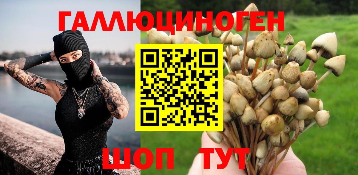 Псилоцибиновые грибы Magic Shrooms Серпухов