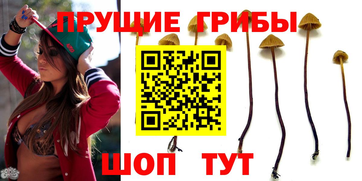 дарнет шоп  Галлюциногенные грибы Psilocybe  Вход с VPN  Серпухов 