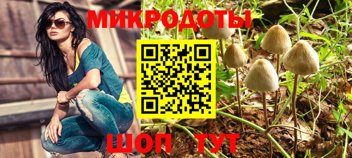 Псилоцибиновые грибы GOLDEN TEACHER Серпухов